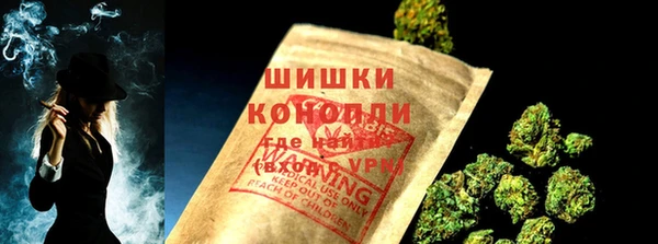 прущий лед Вяземский