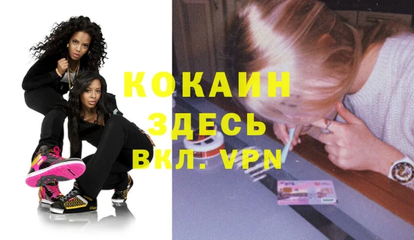 прущий лед Вяземский