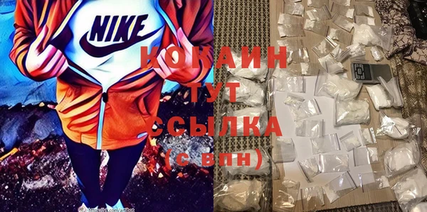 прущий лед Вяземский