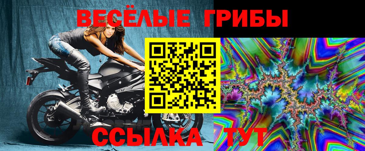 Галлюциногенные грибы Psilocybine cubensis Майкоп