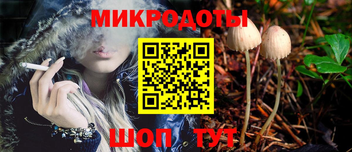 Майкоп  Галлюциногенные грибы Psilocybe  Вход с VPN 