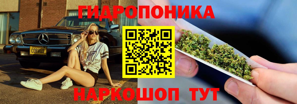 МАРИХУАНА план Майкоп